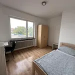 Neureut